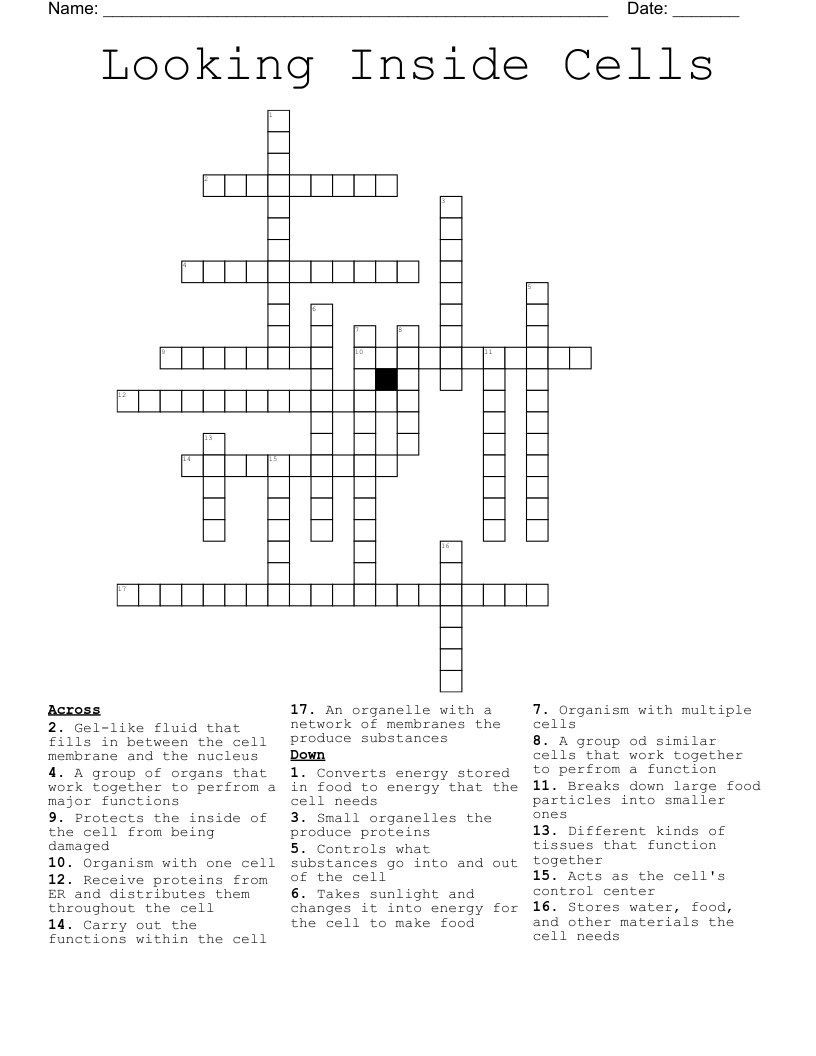 Looking Inside Cells Crossword