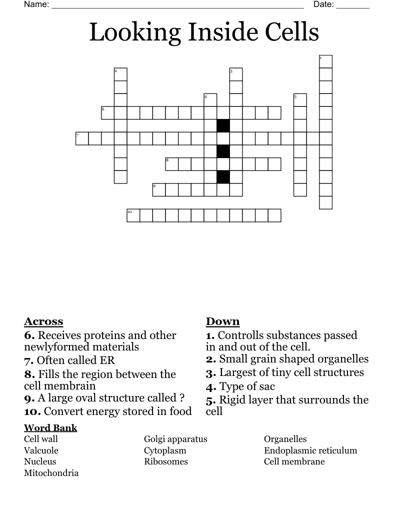 Looking Inside Cells Crossword