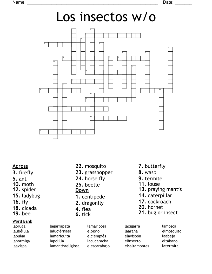 Los insectos w/o  Crossword