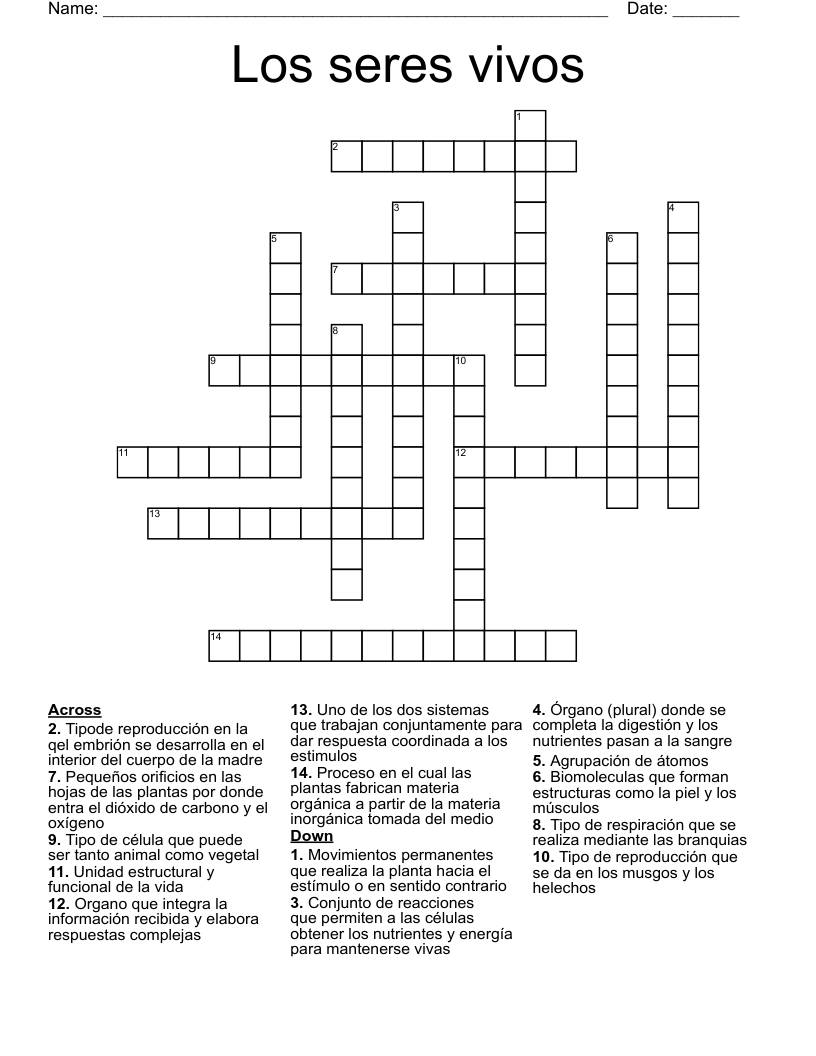 Los seres vivos Crossword