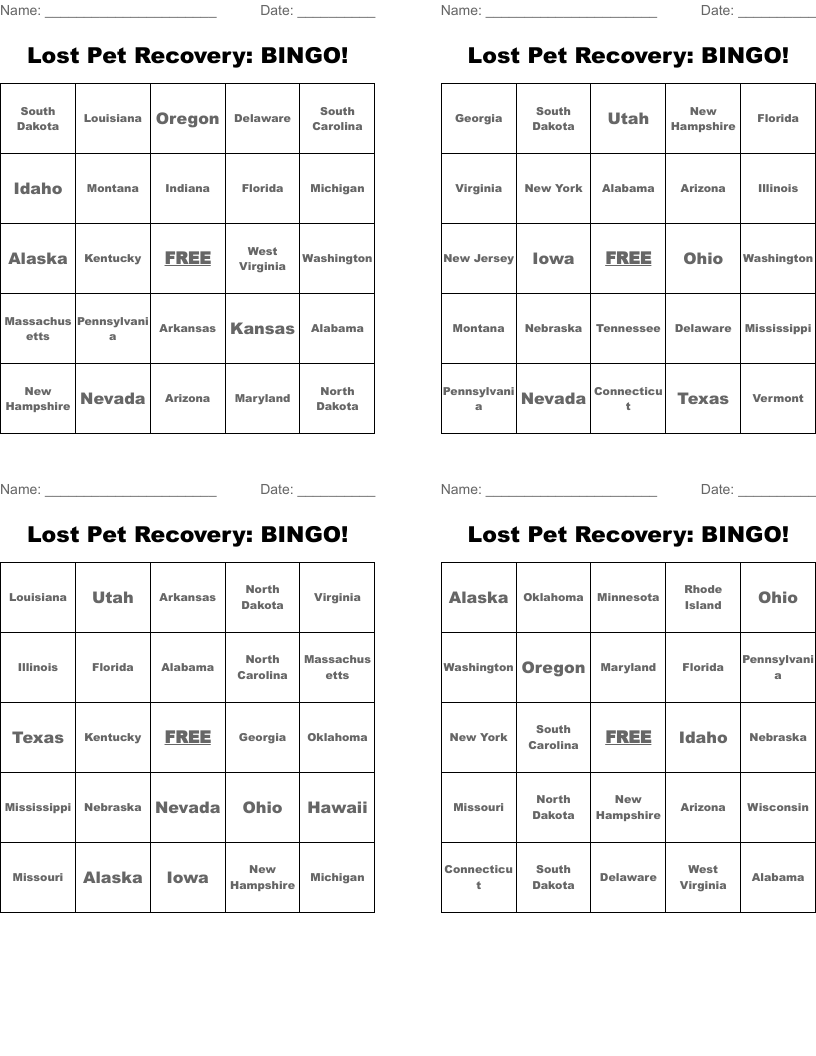 Lost Pet Recovery: BINGO!