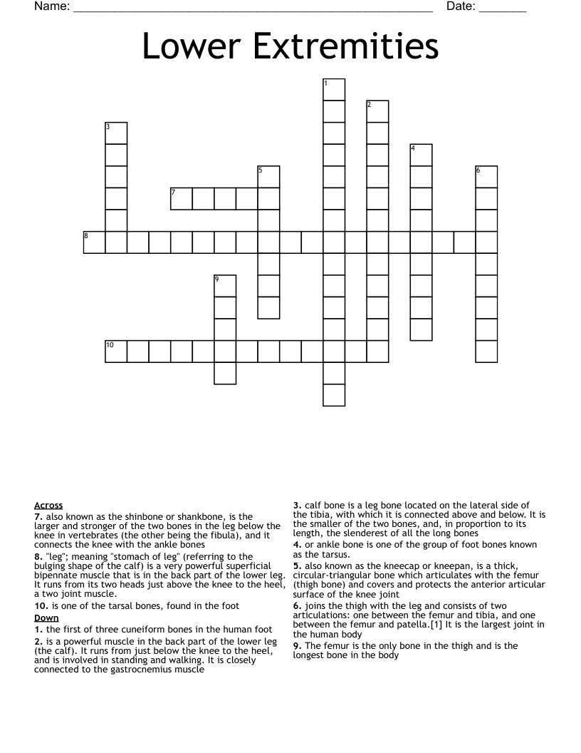 Lower Extremities Crossword