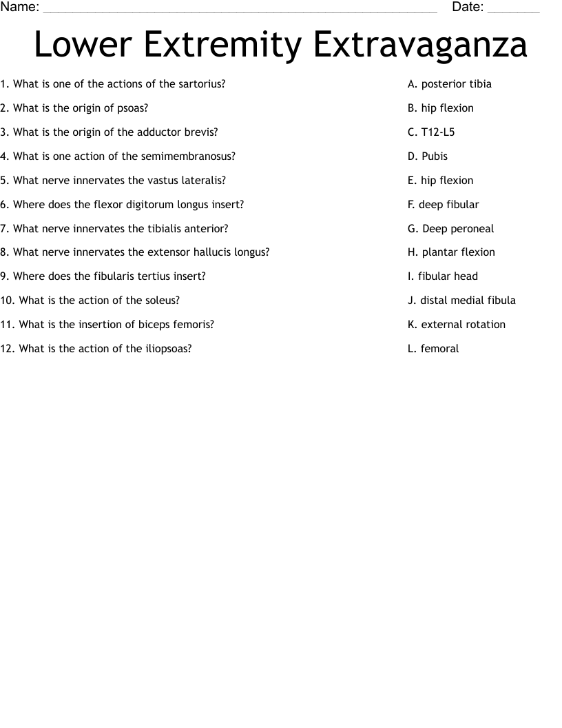 Lower Extremity Extravaganza  Worksheet