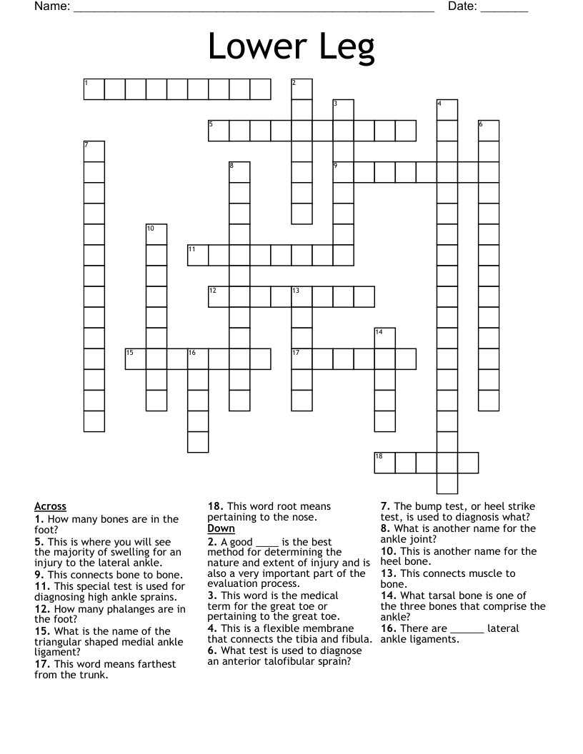 Lower Leg Crossword