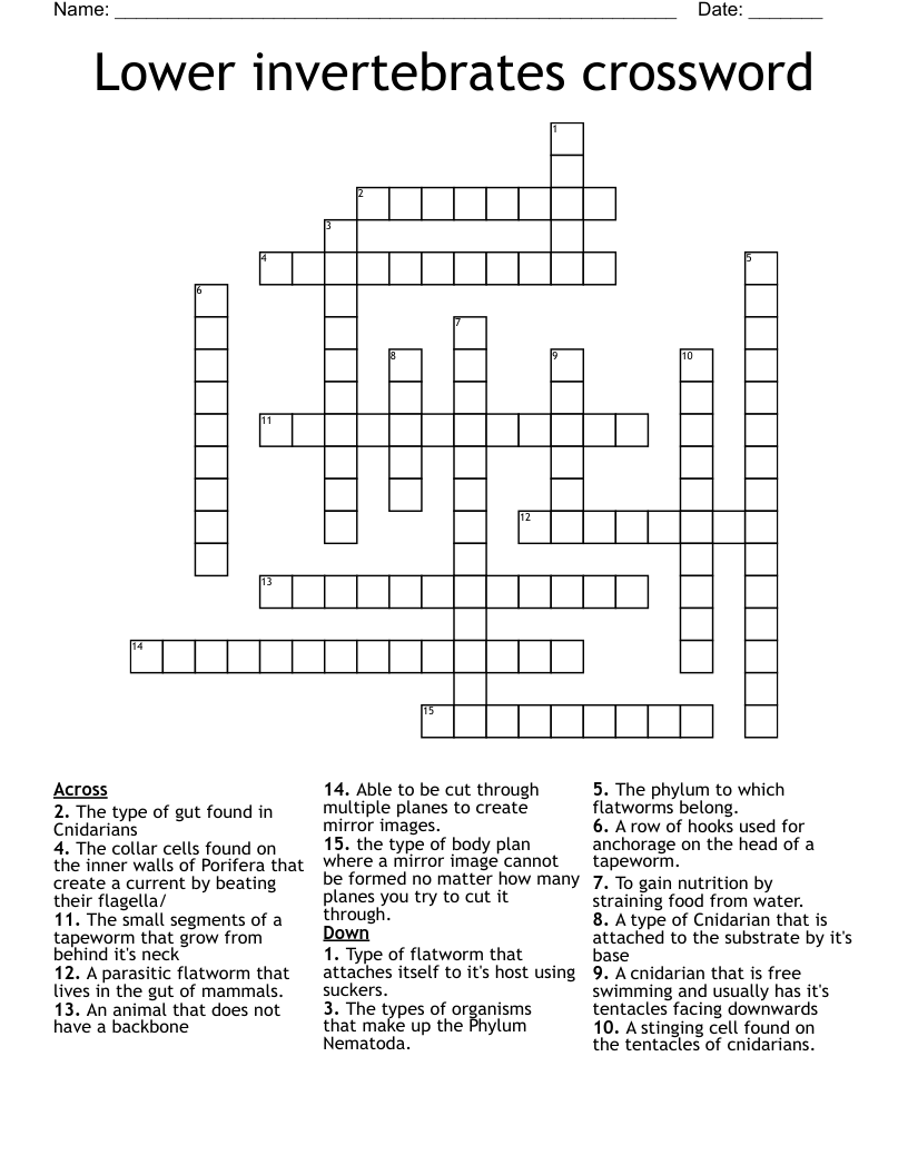 Lower invertebrates crossword