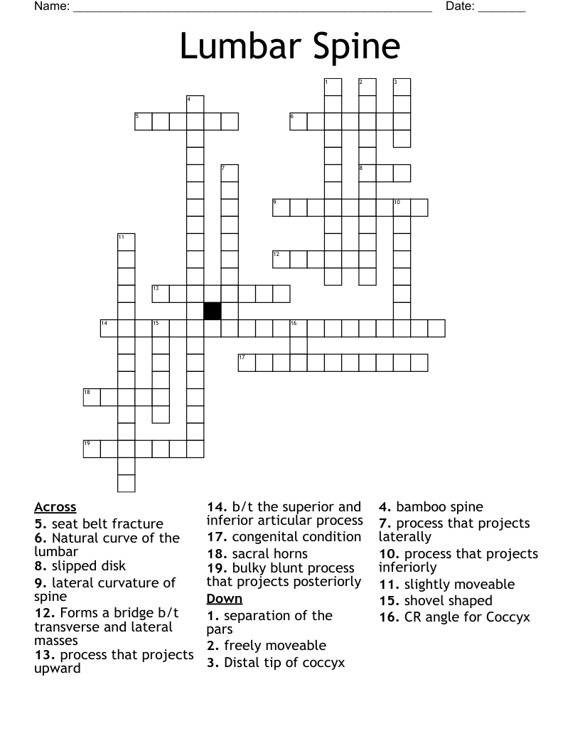 Lumbar Spine Crossword
