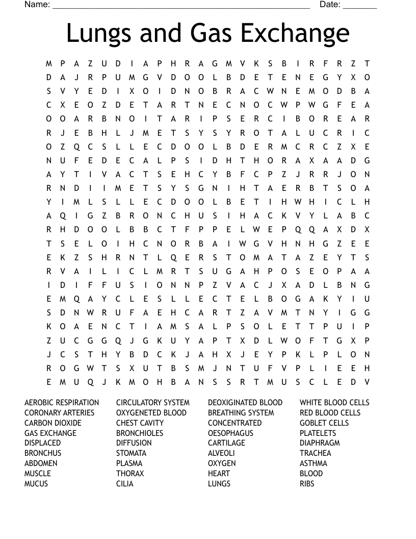 Lungs and Gas Exchange Word Search