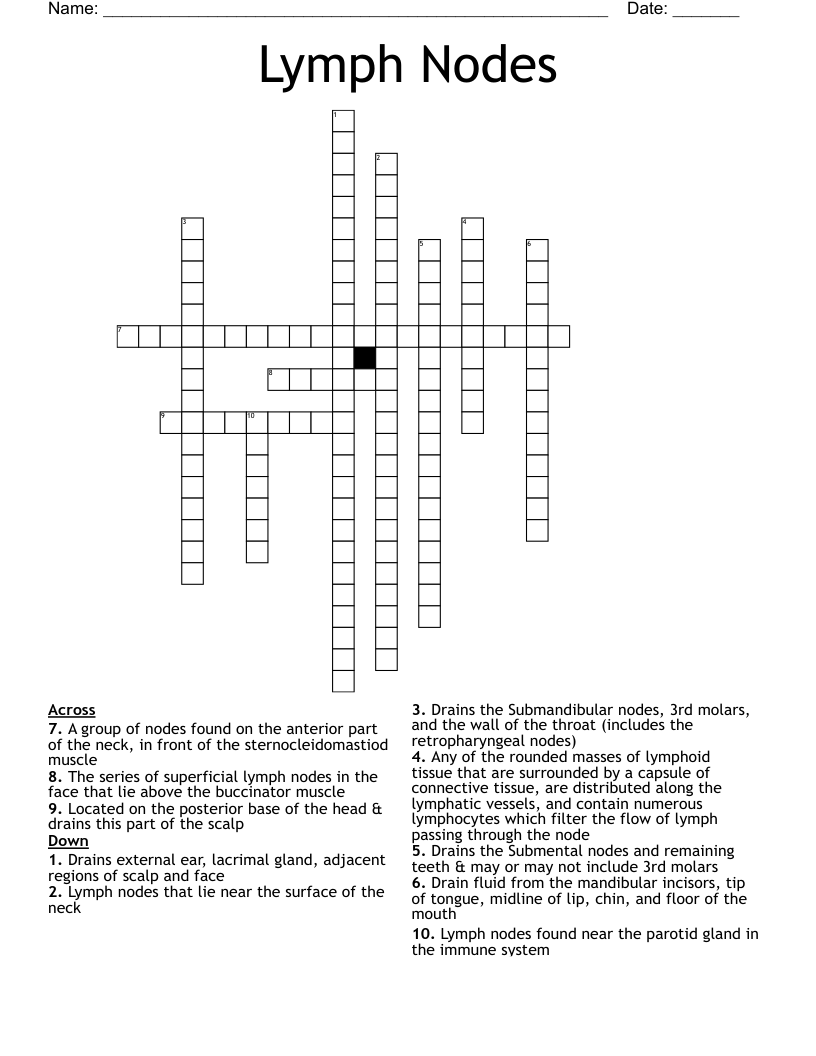 Lymph Nodes  Crossword