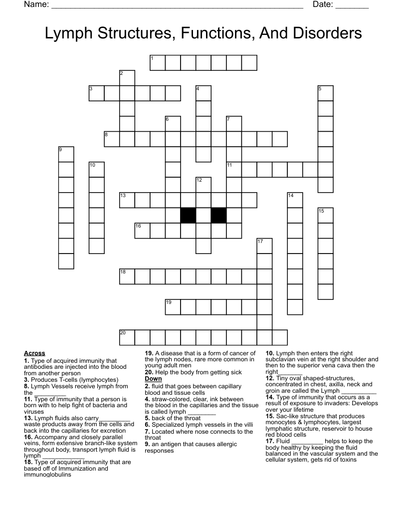 Lymph Structures, Functions, And Disorders  Crossword