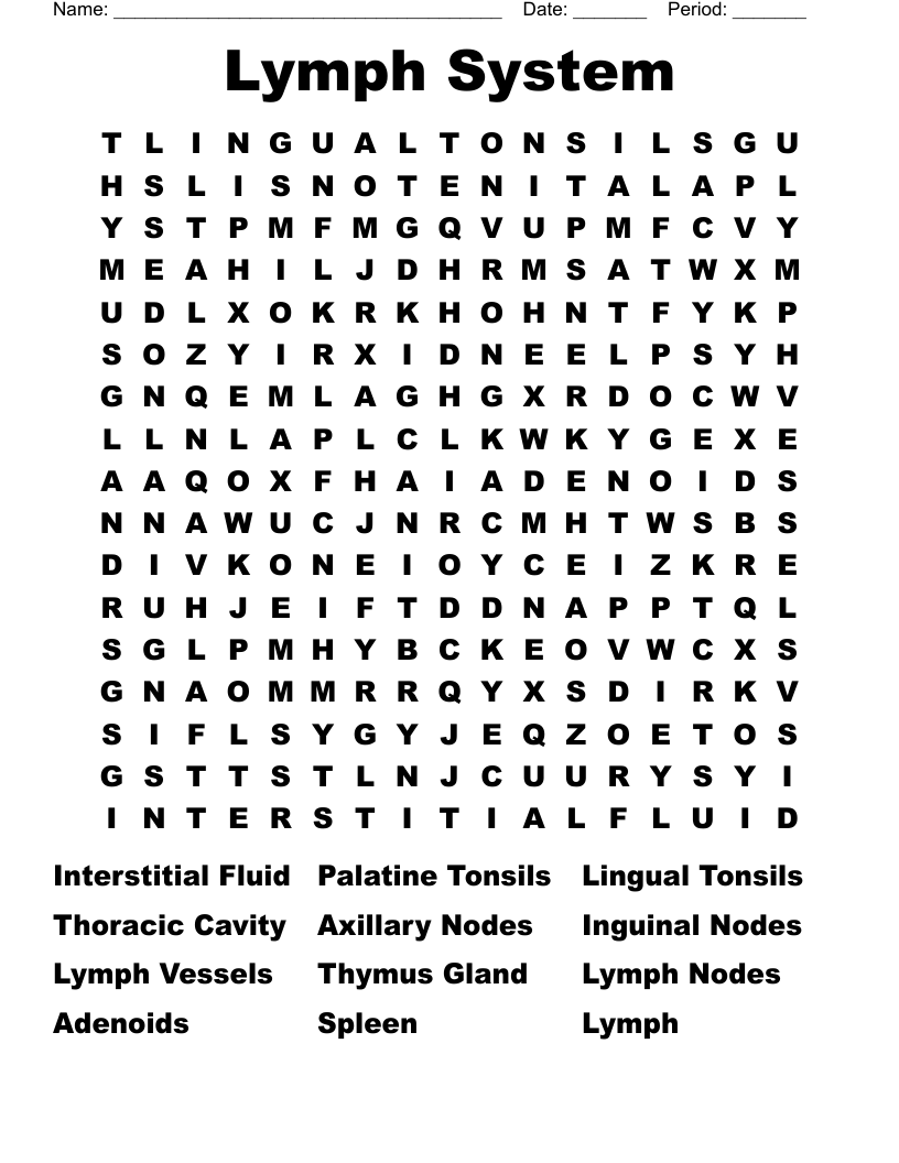 Lymph System Word Search