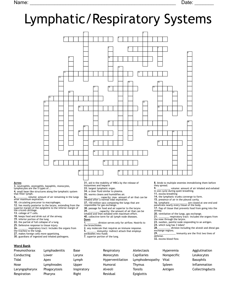 Lymphatic/Respiratory Systems Crossword
