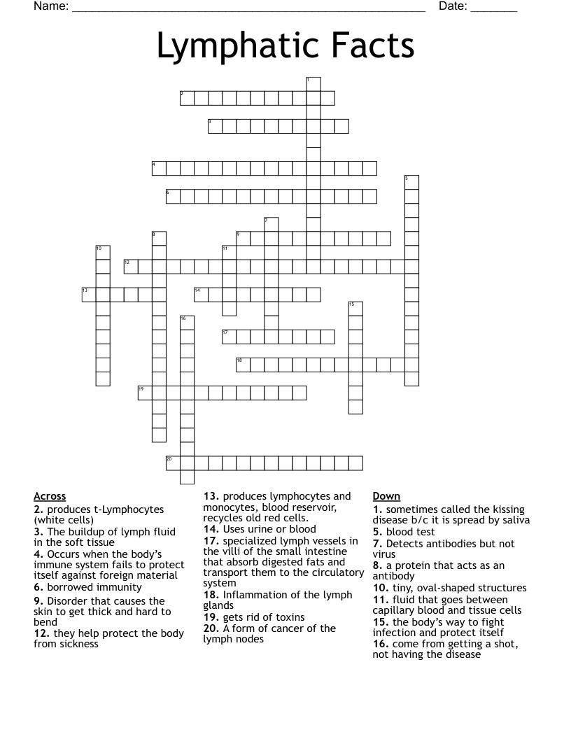 Lymphatic Facts Crossword