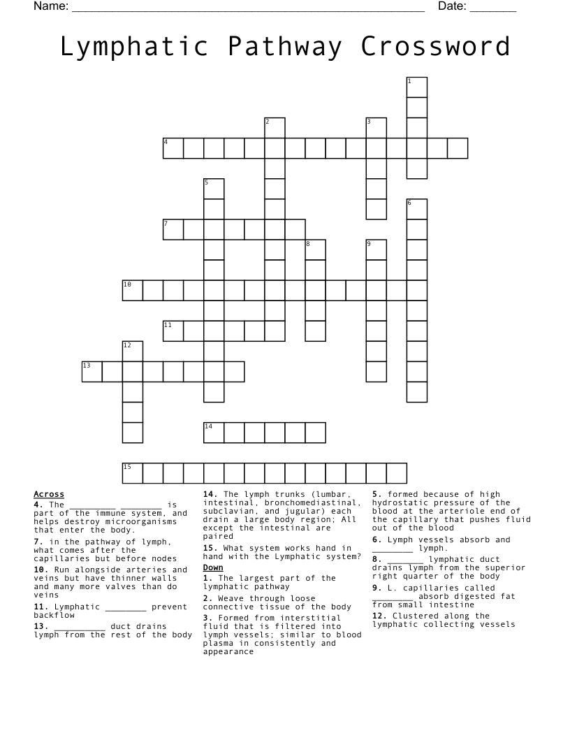 Lymphatic Pathway Crossword