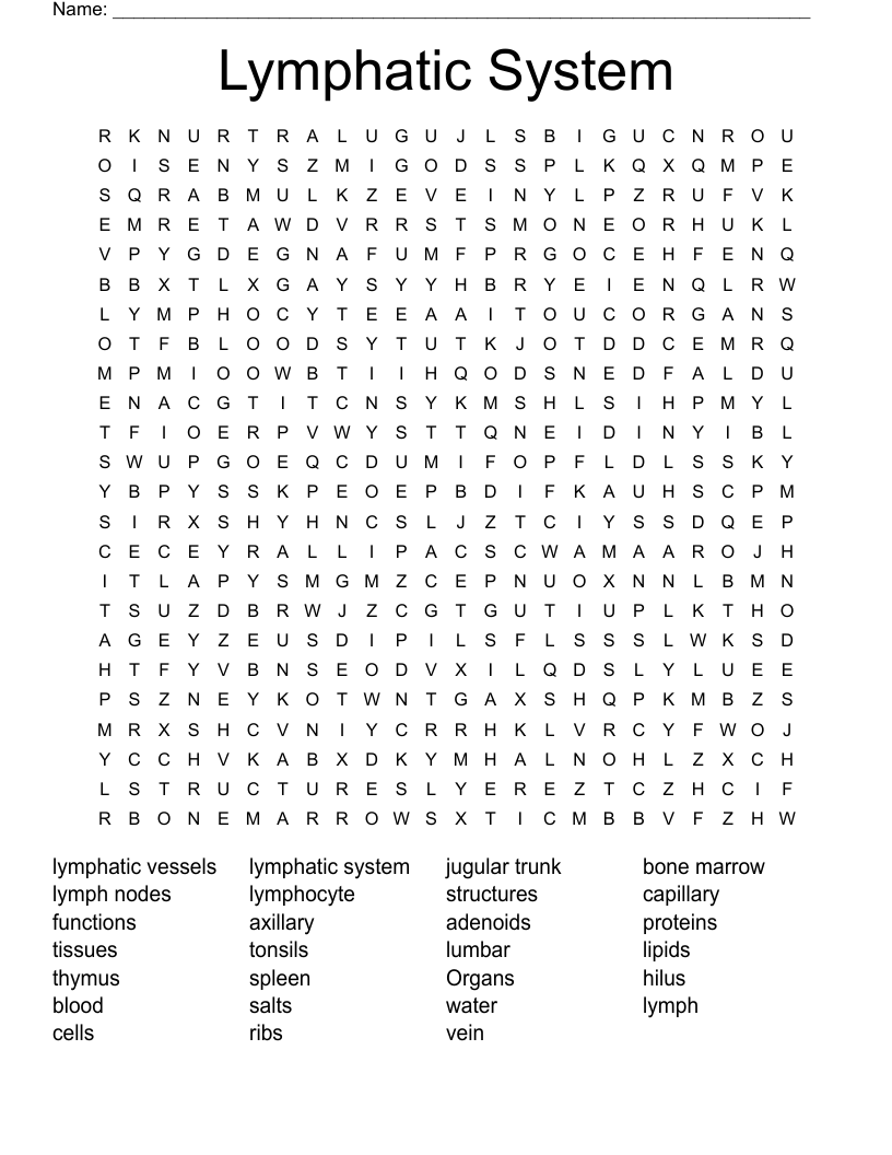Lymphatic System Word Search