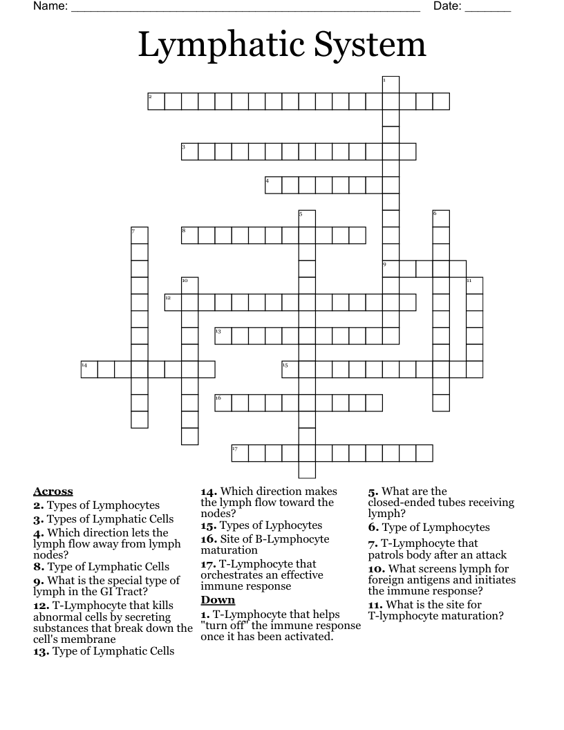 Lymphatic System Crossword
