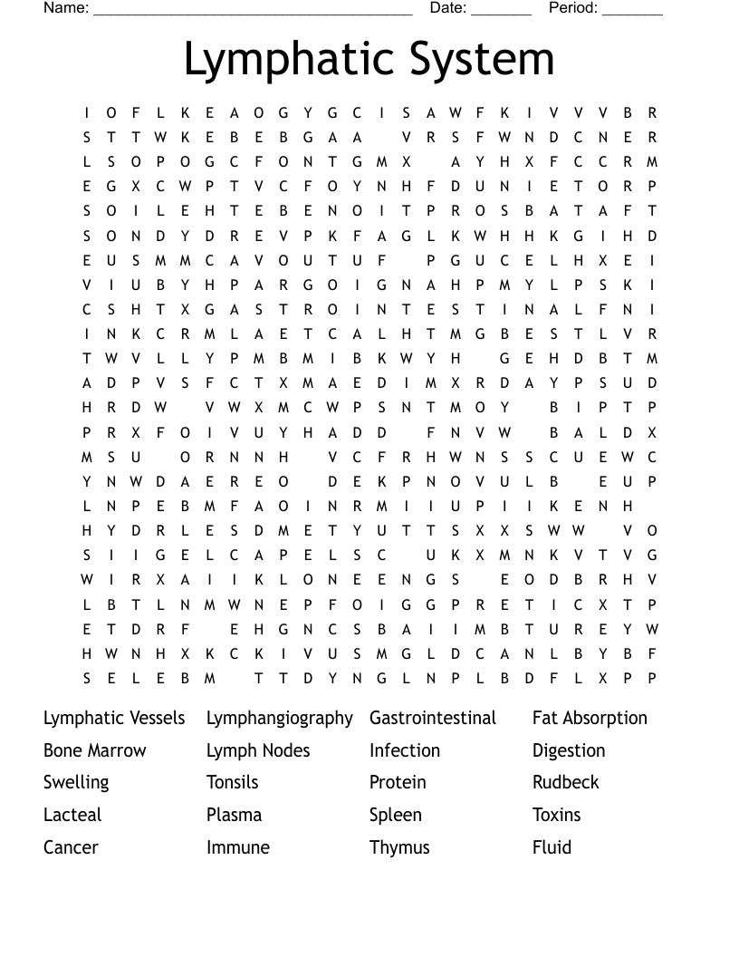 Lymphatic System Word Search