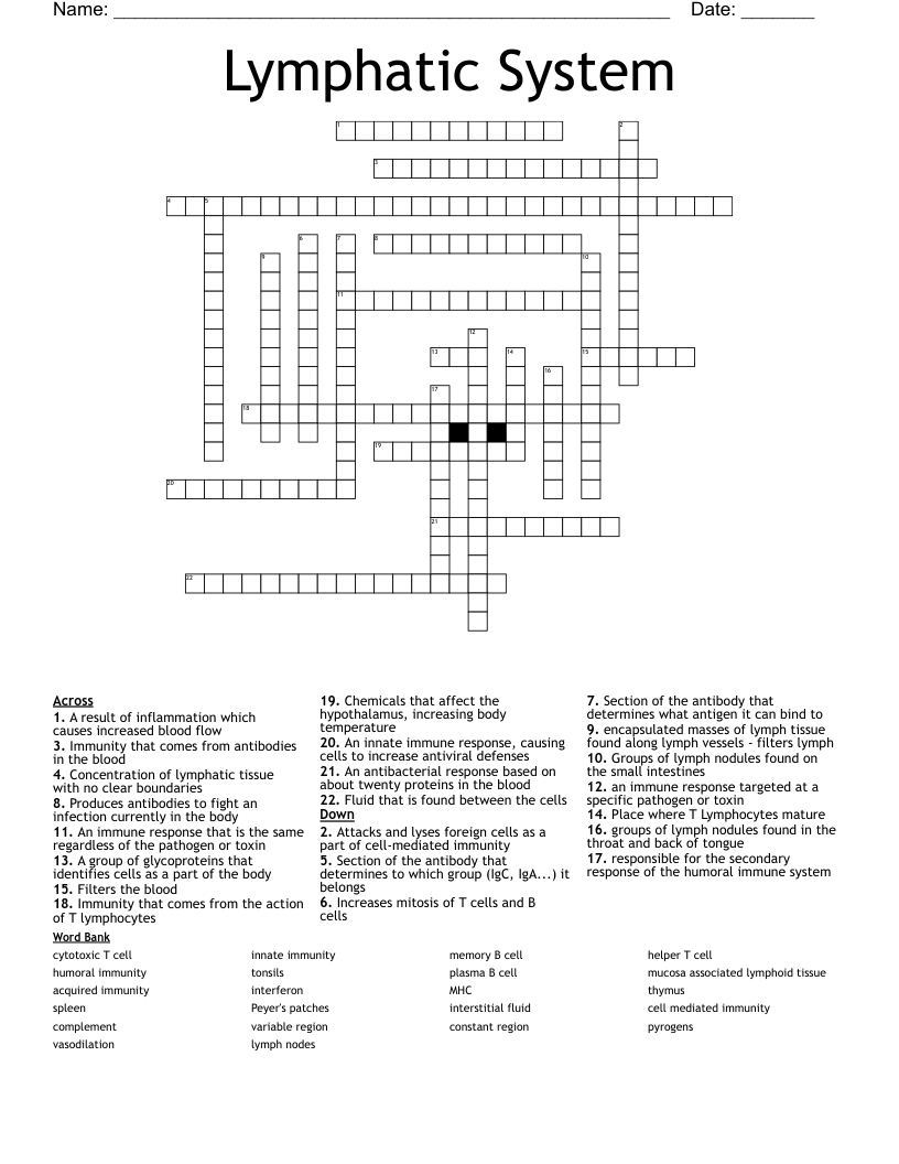 Lymphatic System Crossword