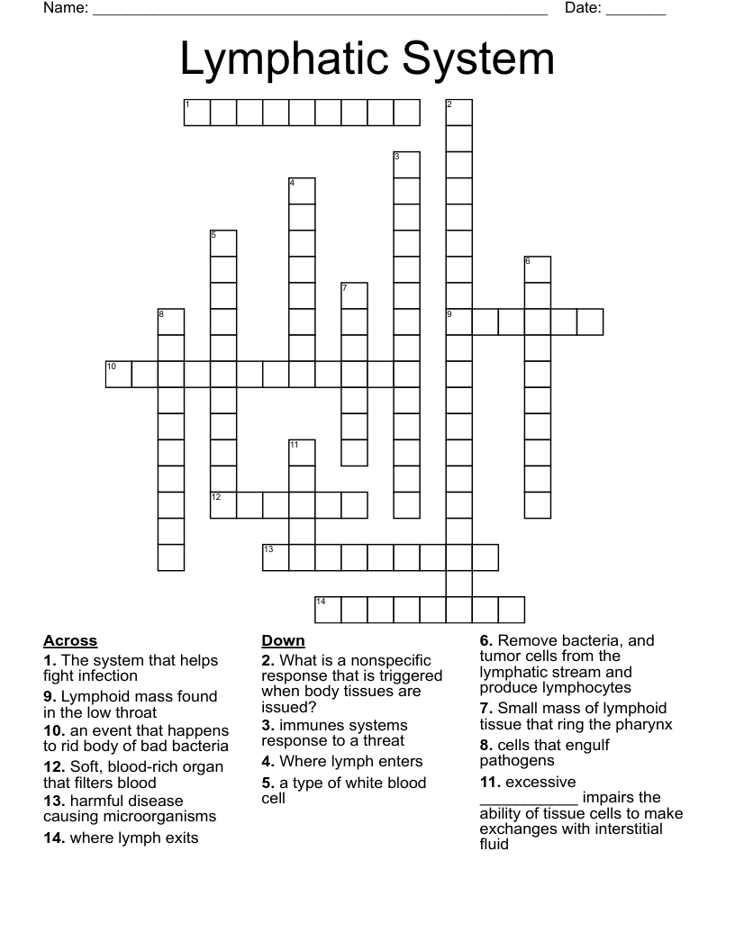 Lymphatic System Crossword