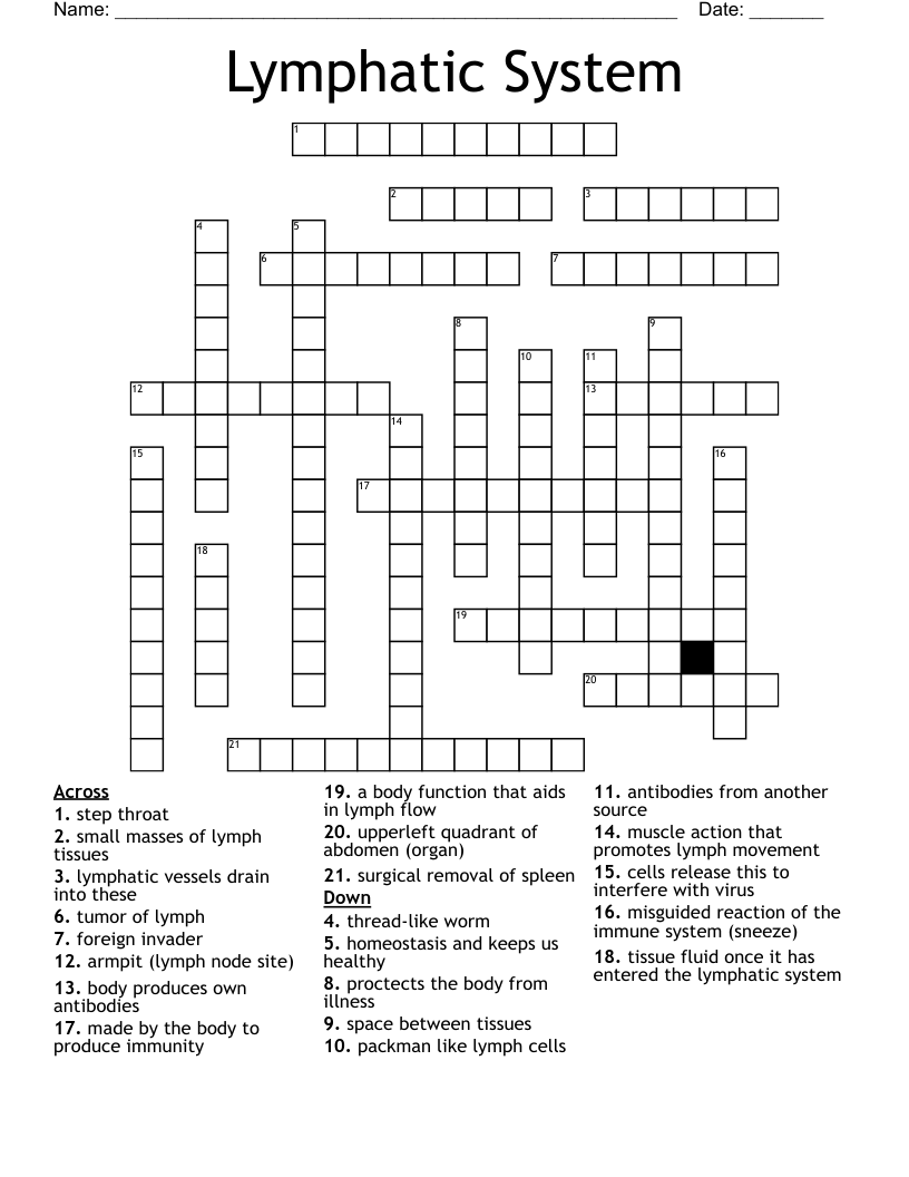 Lymphatic System Crossword
