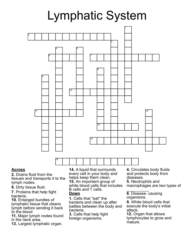 Lymphatic System Crossword