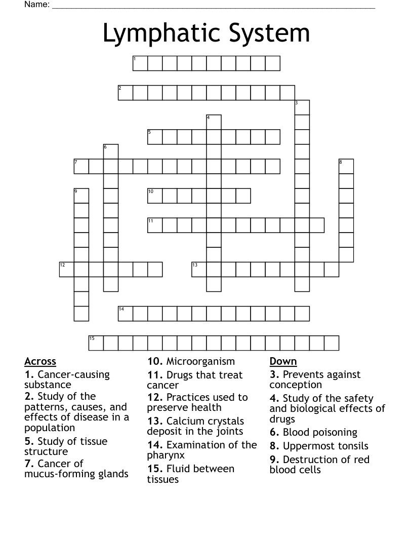 Lymphatic System Crossword