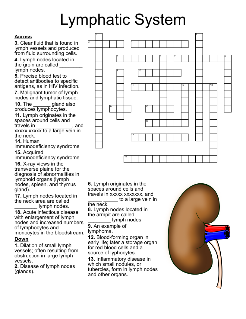 Lymphatic System Crossword