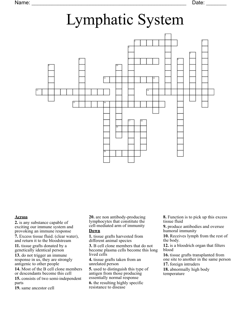 Lymphatic System Crossword