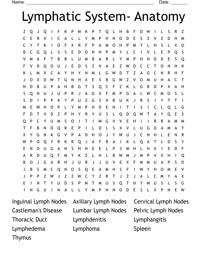 Lymphatic System- Anatomy