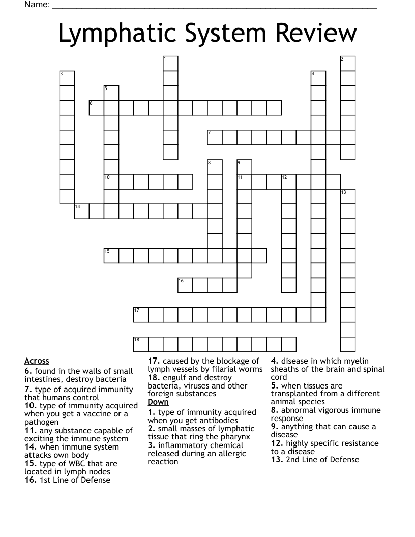Lymphatic System Review Crossword