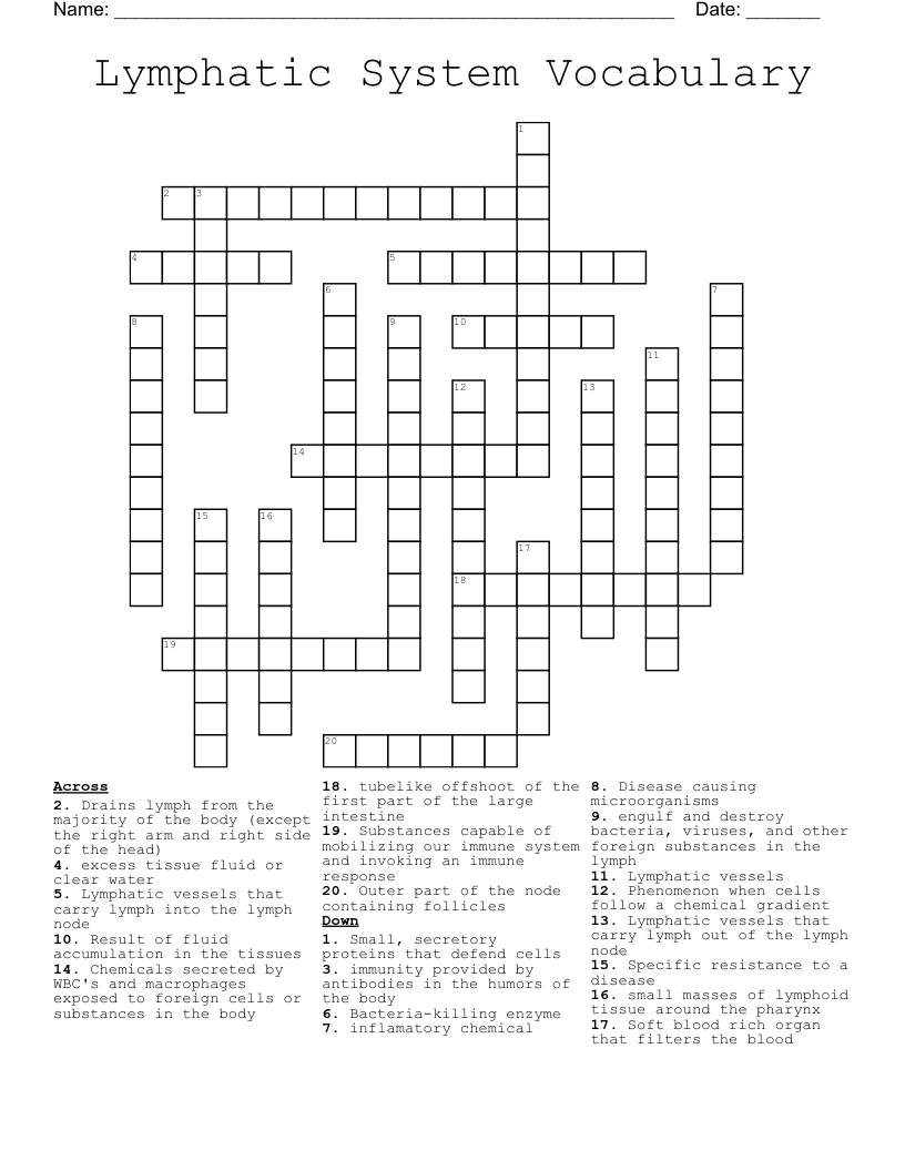 Lymphatic System Vocabulary Crossword
