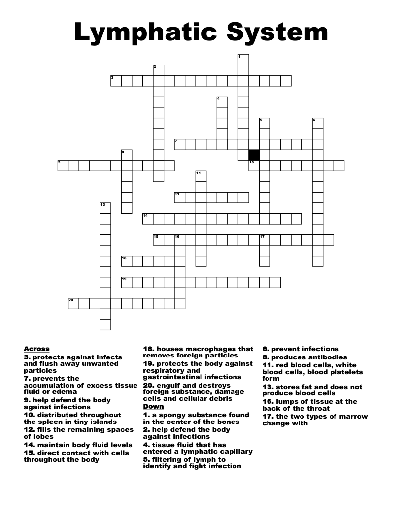 Lymphatic System  Crossword