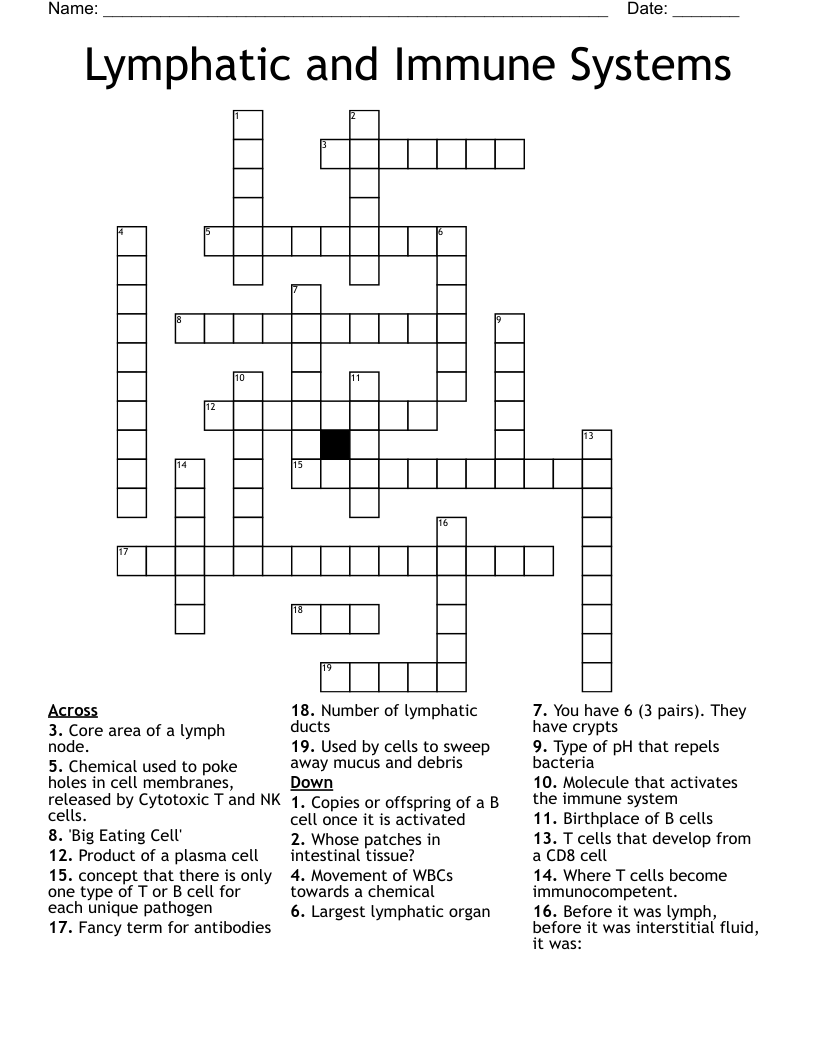 Lymphatic and Immune Systems Crossword