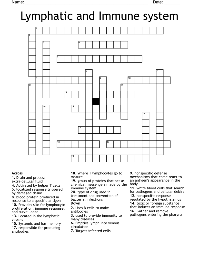 Lymphatic and Immune system Crossword