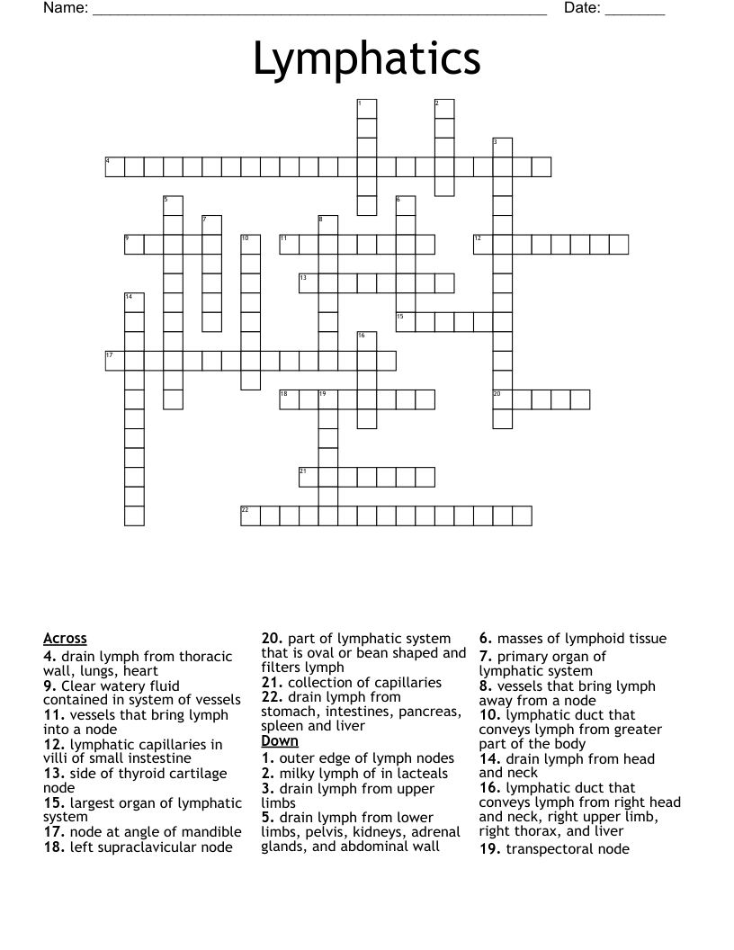 Lymphatics Crossword