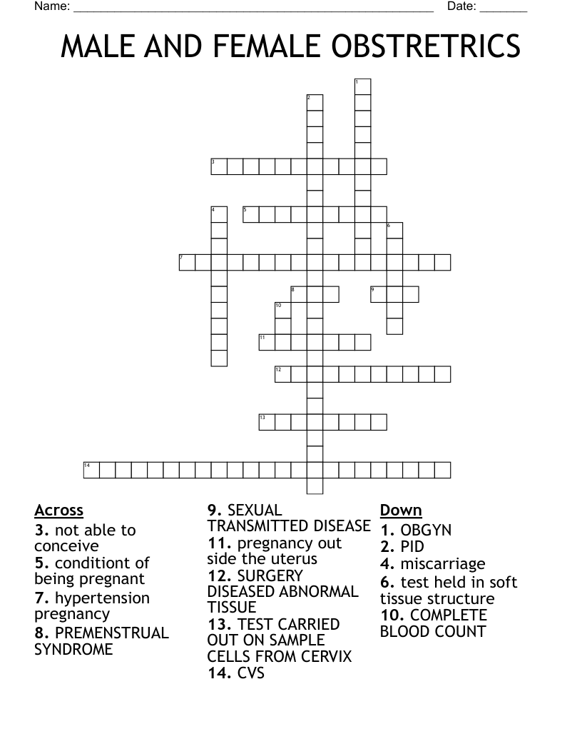 MALE AND FEMALE OBSTRETRICS Crossword
