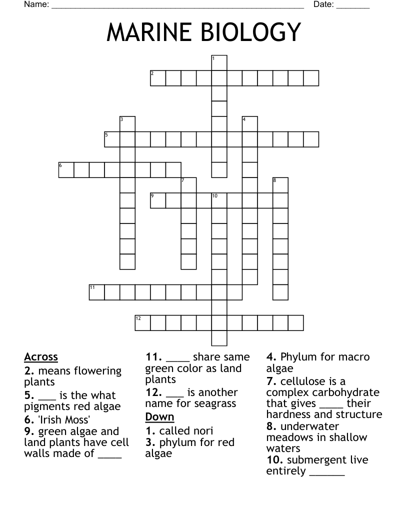 MARINE BIOLOGY Crossword