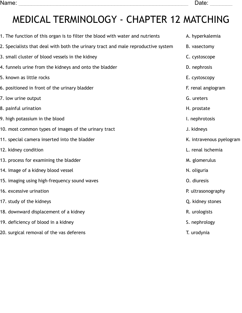 MEDICAL TERMINOLOGY - CHAPTER 12 MATCHING Worksheet