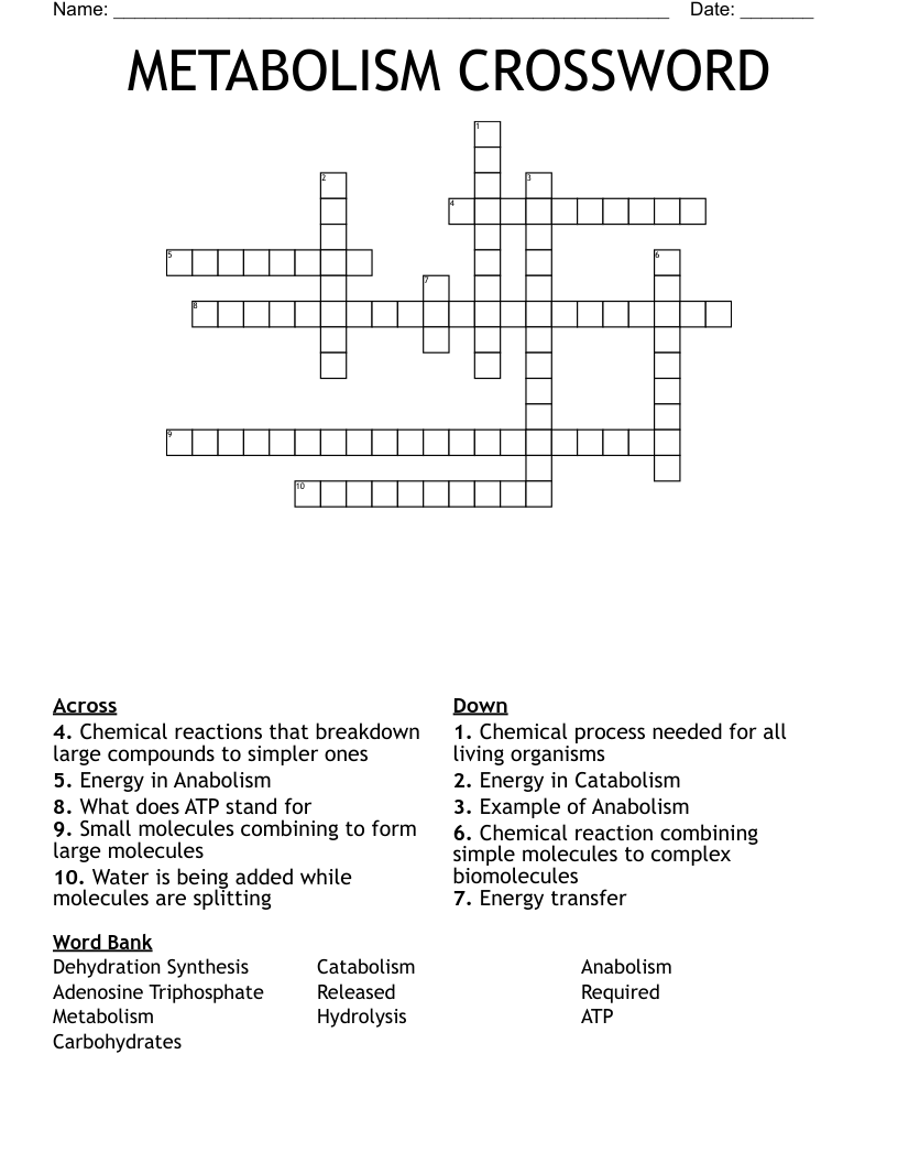 METABOLISM CROSSWORD