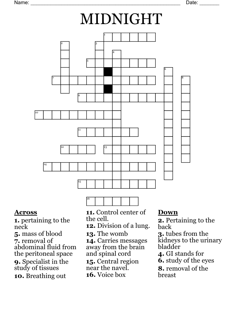 MIDNIGHT  Crossword