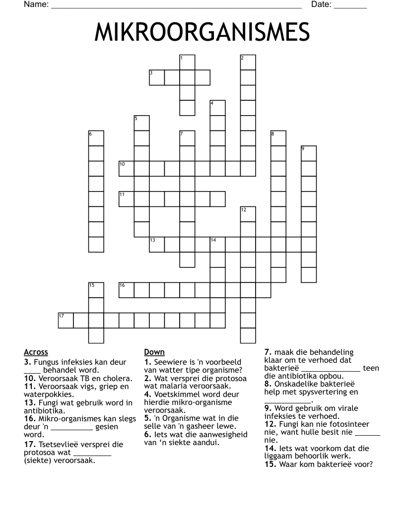 MIKROORGANISMES Crossword