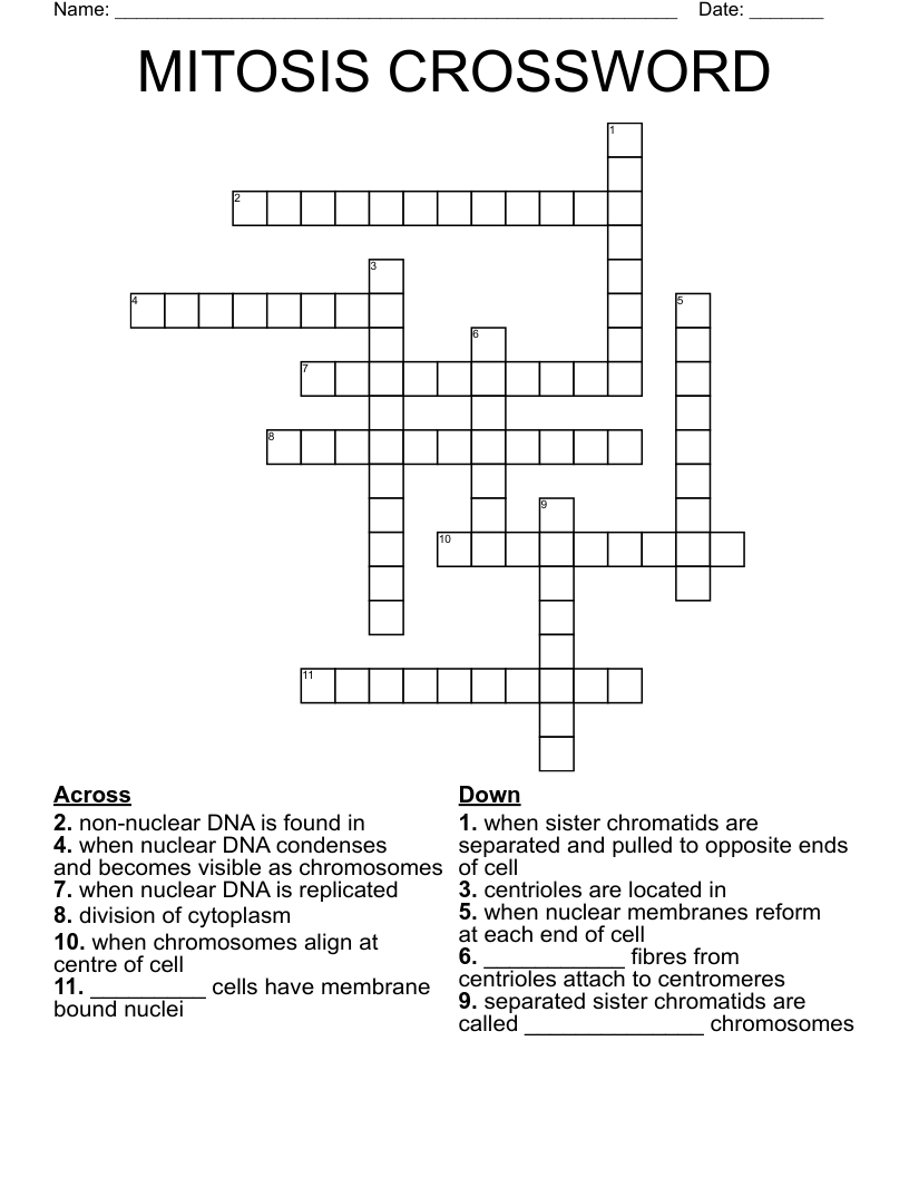 MITOSIS CROSSWORD