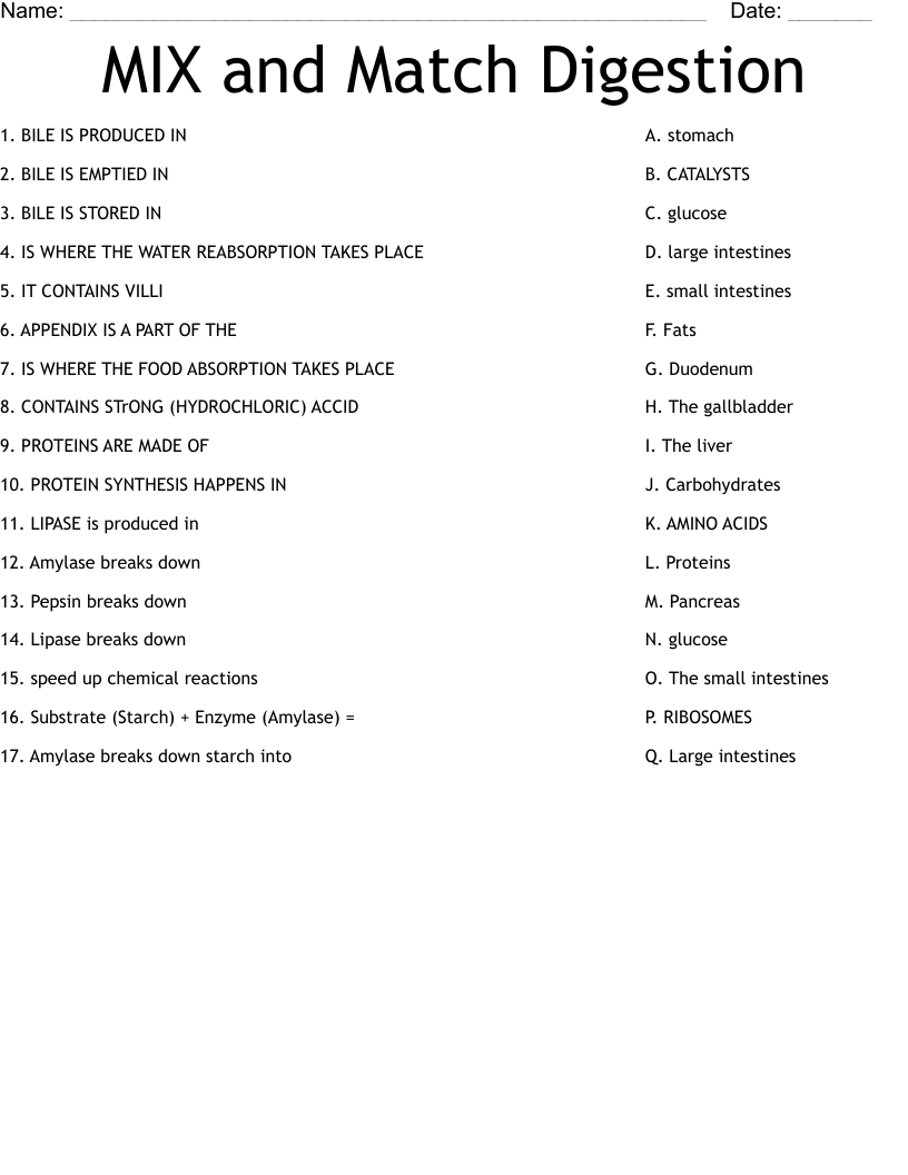 MIX and Match Digestion Worksheet