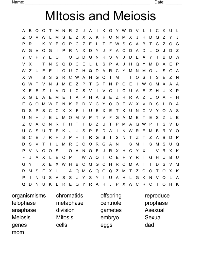 MItosis and Meiosis Word Search