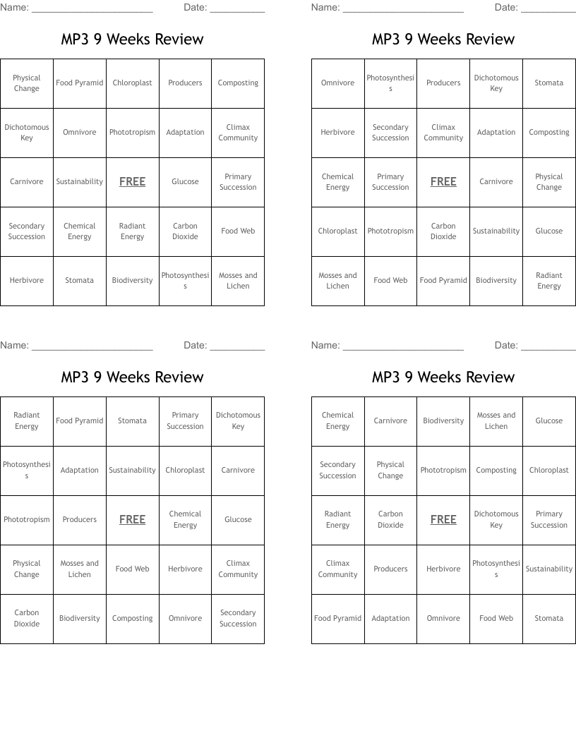 MP3 9 Weeks Review Bingo Cards