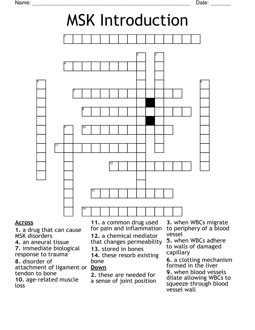MSK Introduction Crossword