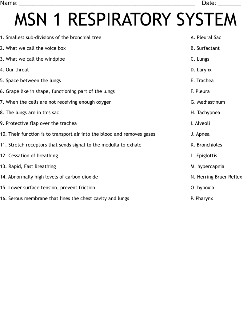 MSN 1 RESPIRATORY SYSTEM Worksheet