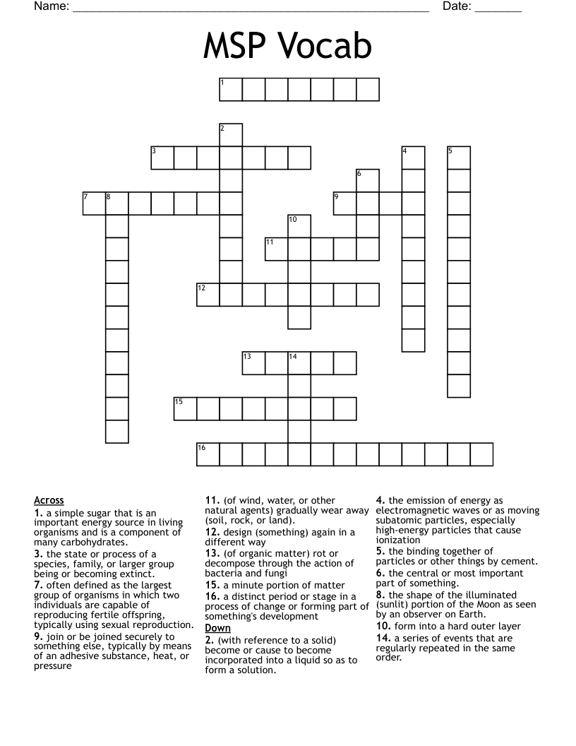 MSP Vocab Crossword