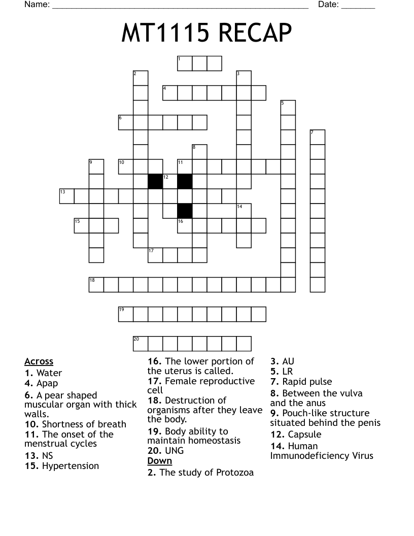 MT1115 RECAP Crossword