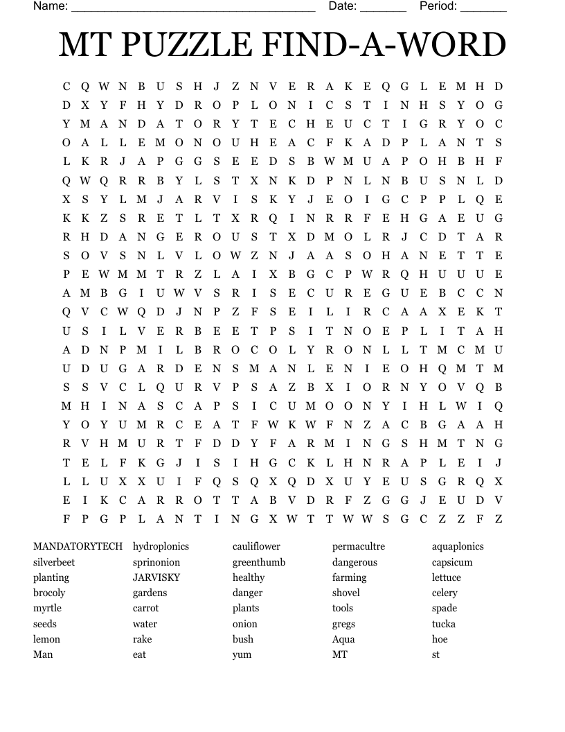 MT PUZZLE FIND-A-WORD Word Search