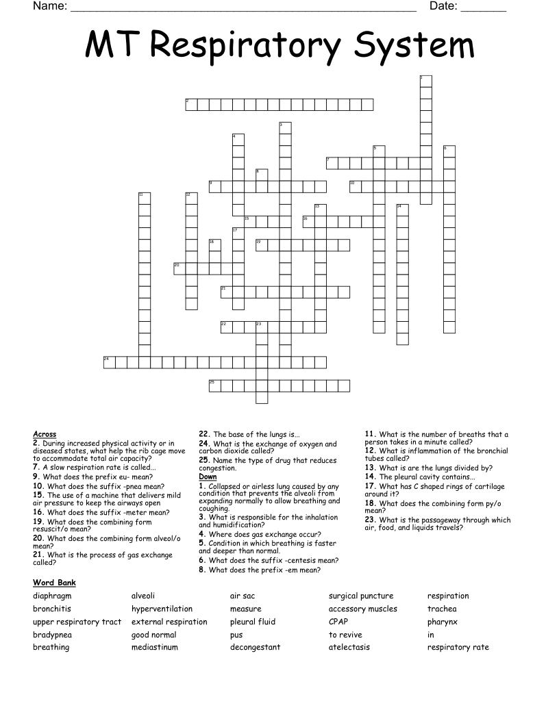 MT Respiratory System  Crossword